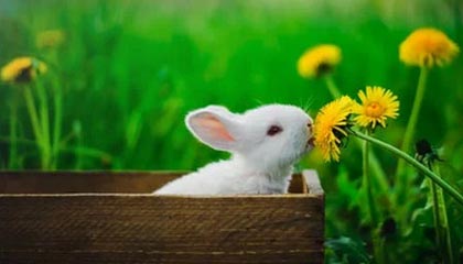 开云体育网站-巴特尔晒与中国男篮96黄金一代散步视频,胡卫东巩晓彬等人出镜